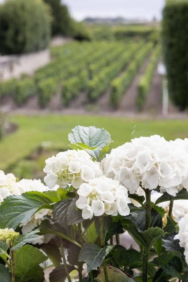 Hotel Porte Brunet Saint-Emilion Exterior photo